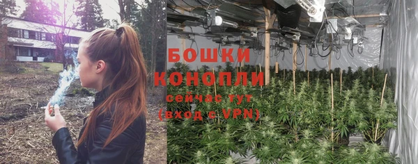 каннабис Беломорск